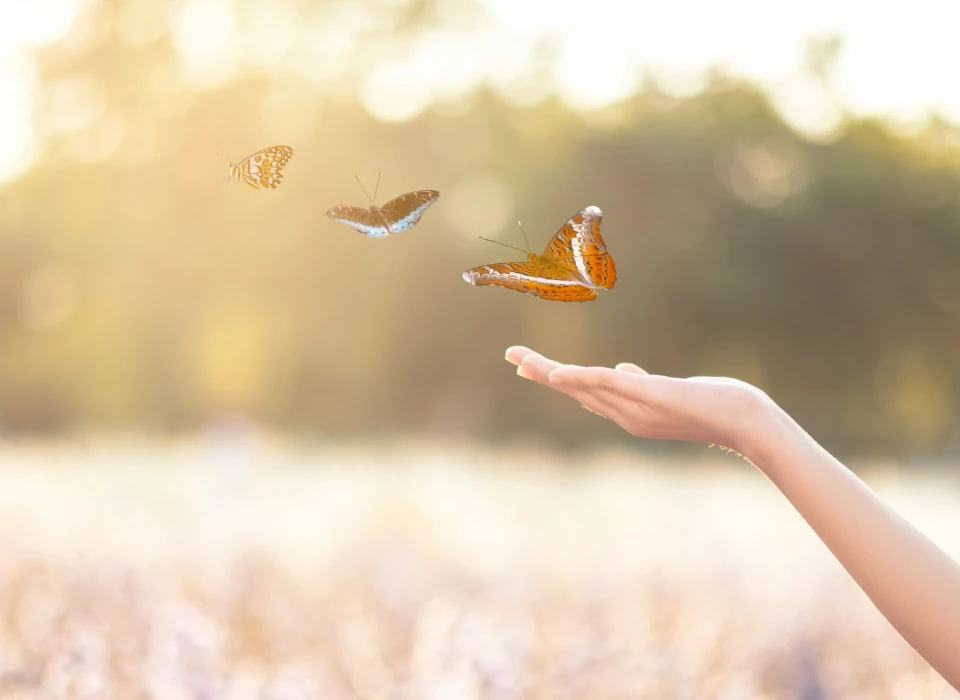 libérer les blessures émotionnelles du passé